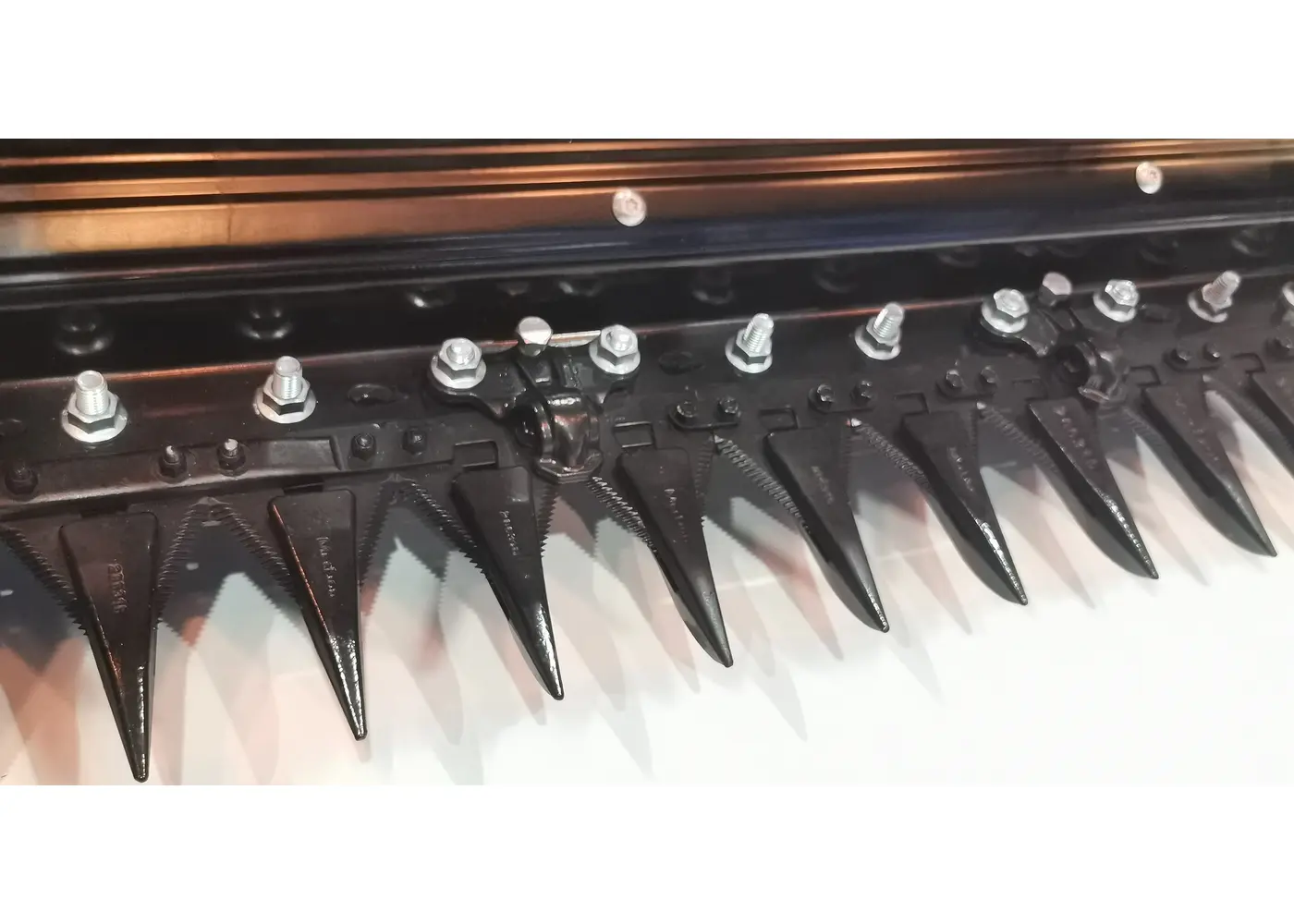 Serrated Harvester Knife Section